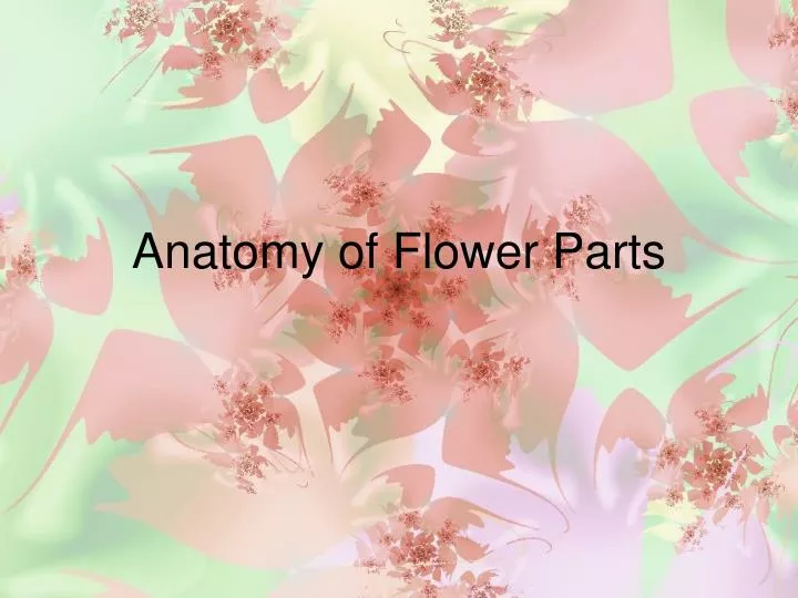 anatomy of flower parts