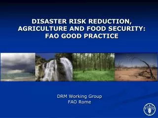 DISASTER RISK REDUCTION, AGRICULTURE AND FOOD SECURITY: FAO GOOD PRACTICE