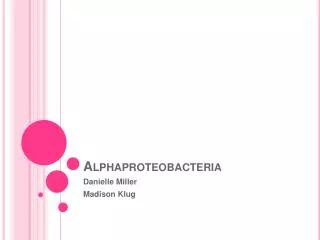 Alphaproteobacteria