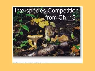 Interspecies Competition from Ch. 13