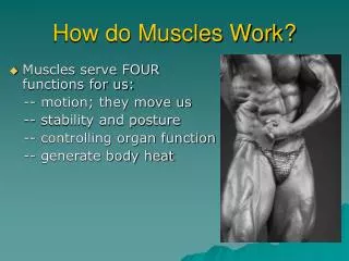 How do Muscles Work?