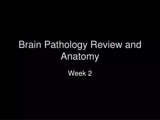 Brain Pathology Review and Anatomy