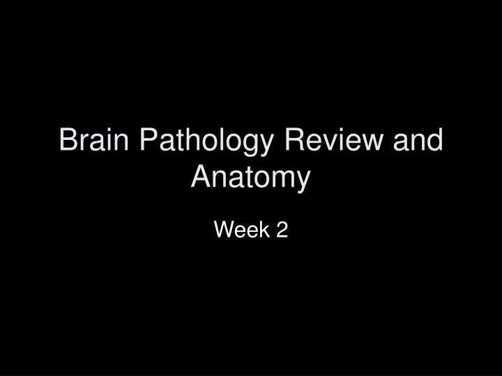 brain pathology review and anatomy