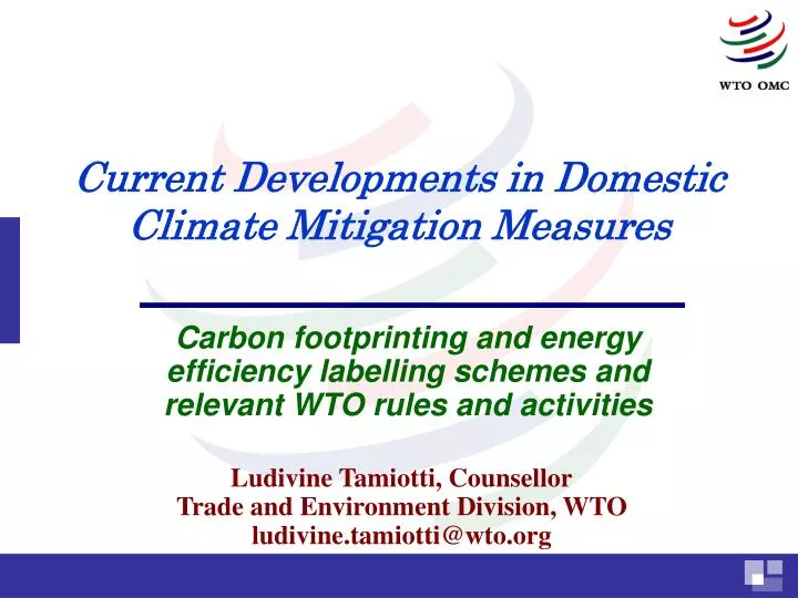 current developments in domestic climate mitigation measures