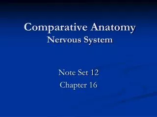 Comparative Anatomy Nervous System