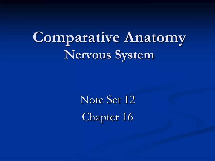 comparative anatomy nervous system