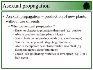 Asexual propagation = production of new plants without use of seeds