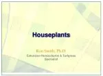 Houseplants - slide 1