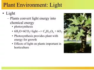 Plant Environment: Light