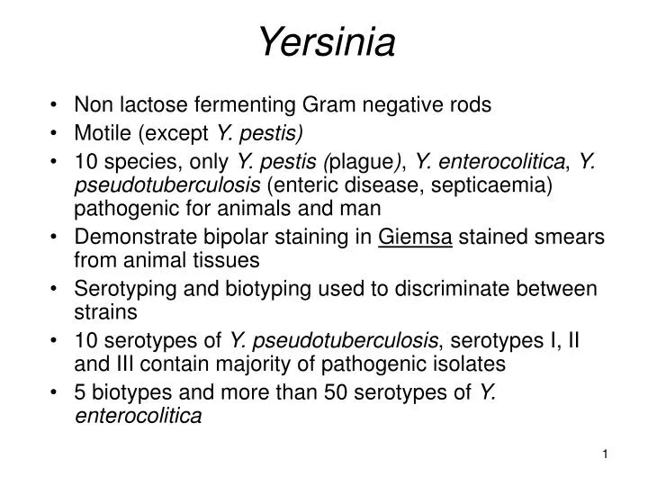 yersinia