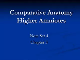 Comparative Anatomy Higher Amniotes