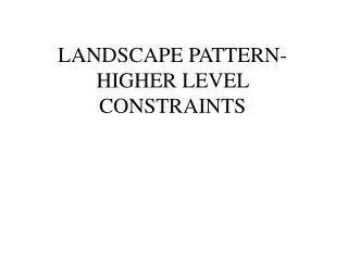 LANDSCAPE PATTERN- HIGHER LEVEL CONSTRAINTS