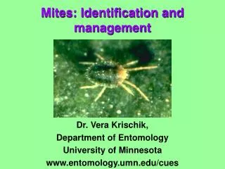 Mites: Identification and management
