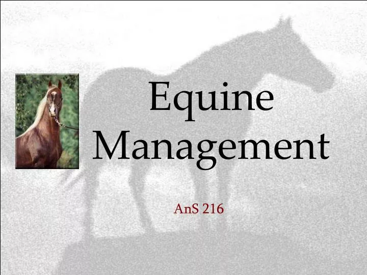 equine management