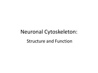 Neuronal Cytoskeleton: Structure and Function