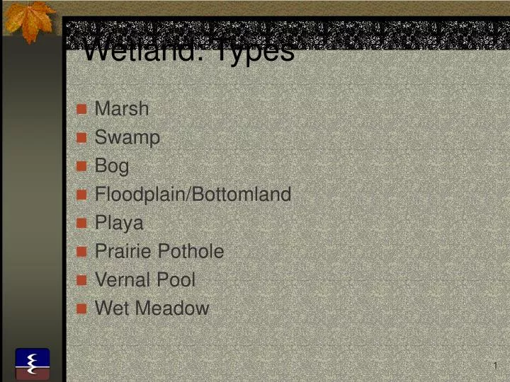 wetland types