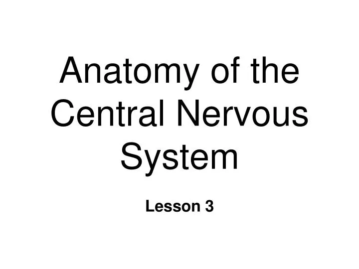 anatomy of the central nervous system