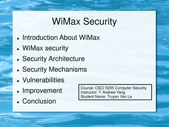 wimax security