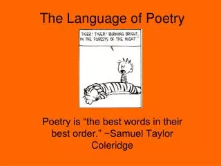 The Language of Poetry