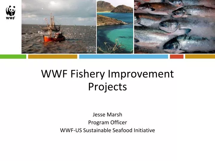 wwf fishery improvement projects