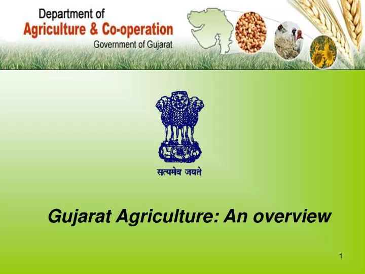 gujarat agriculture an overview