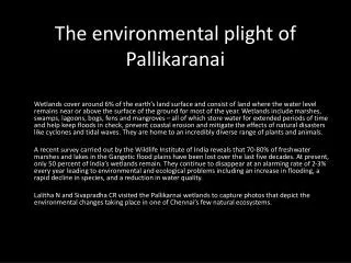 The environmental plight of Pallikaranai