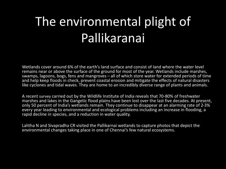 the environmental plight of pallikaranai