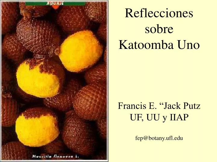 reflecciones sobre katoomba uno francis e jack putz uf uu y iiap fep@botany ufl edu