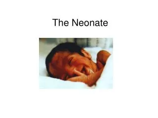 The Neonate