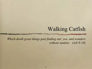 Walking Catfish
