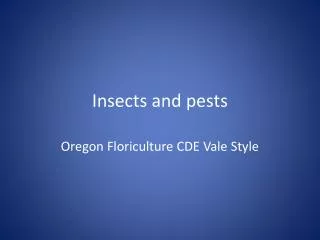 Insects and pests