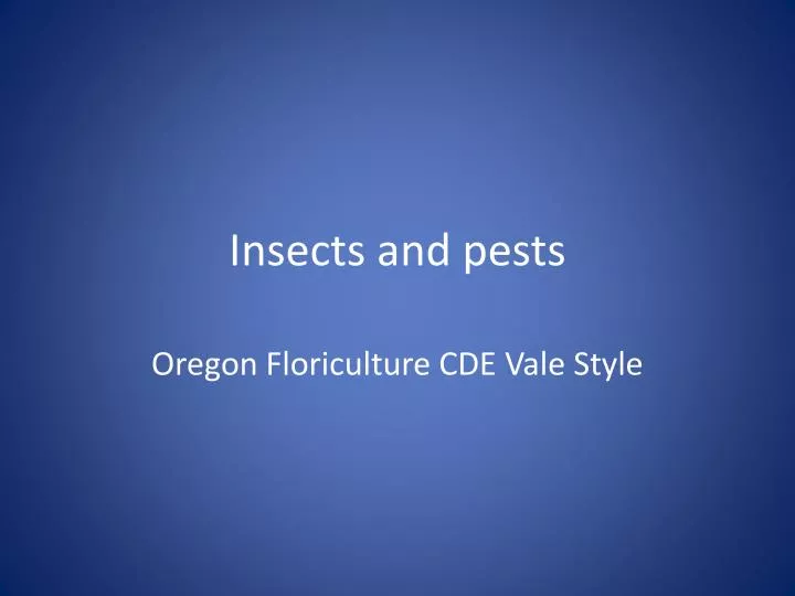 insects and pests