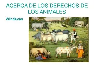 ACERCA DE LOS DERECHOS DE LOS ANIMALES