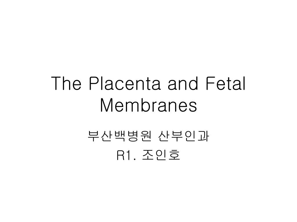 PPT - The Placenta and Fetal Membranes PowerPoint Presentation, free ...