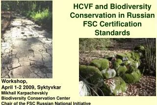 HCVF and Biodiversity Conservation in Russian FSC Certification Standards