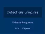 Infections urinaires - slide 1