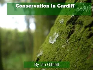 Conservation in Cardiff