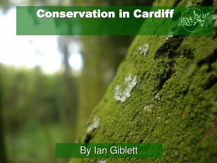 conservation in cardiff