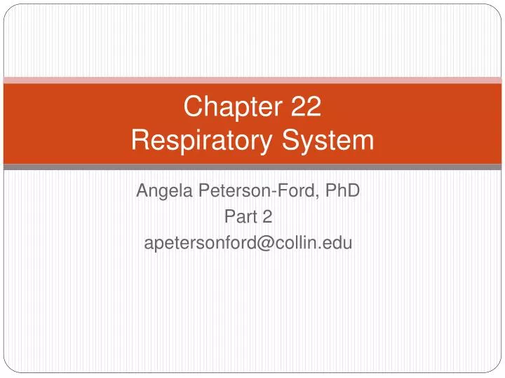 chapter 22 respiratory system