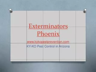 KY-KO Pest Control in Arizona