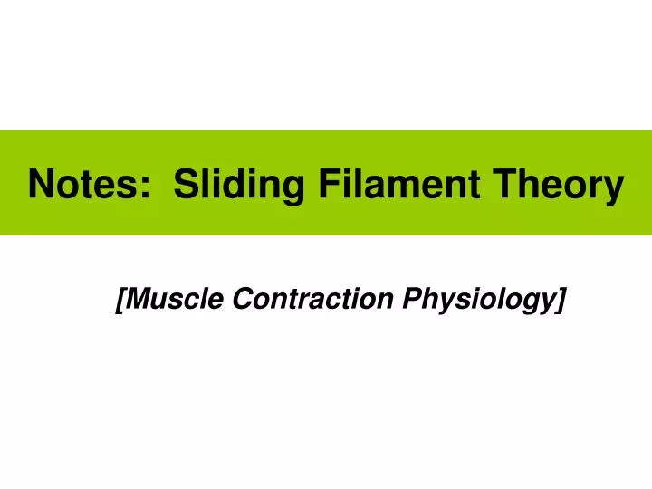 notes sliding filament theory