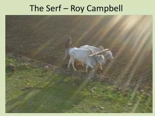 The Serf – Roy Campbell