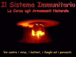 Il Sistema Immunitario La Corsa agli Armamenti Naturale
