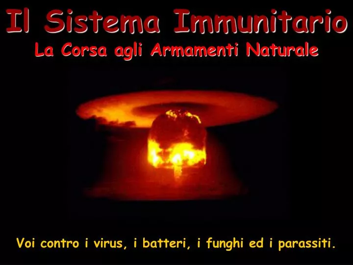 il sistema immunitario la corsa agli armamenti naturale