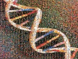 DNA The Code of Life