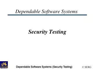 Dependable Software Systems Security Testing