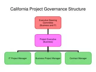 California Project Governance Structure