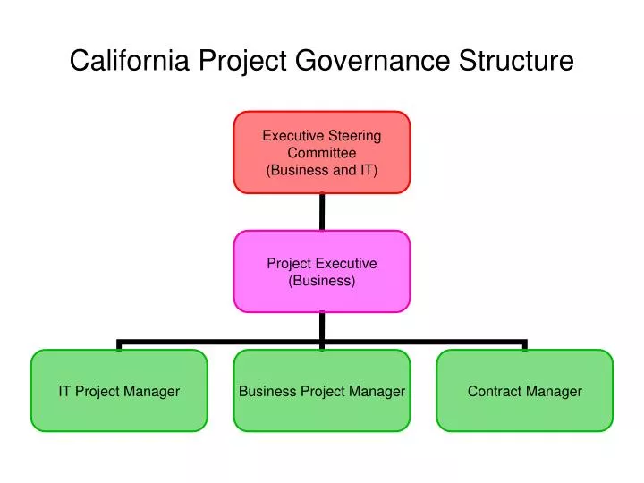 california project governance structure