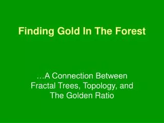Finding Gold In The Forest