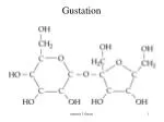 Gustation - slide 1
